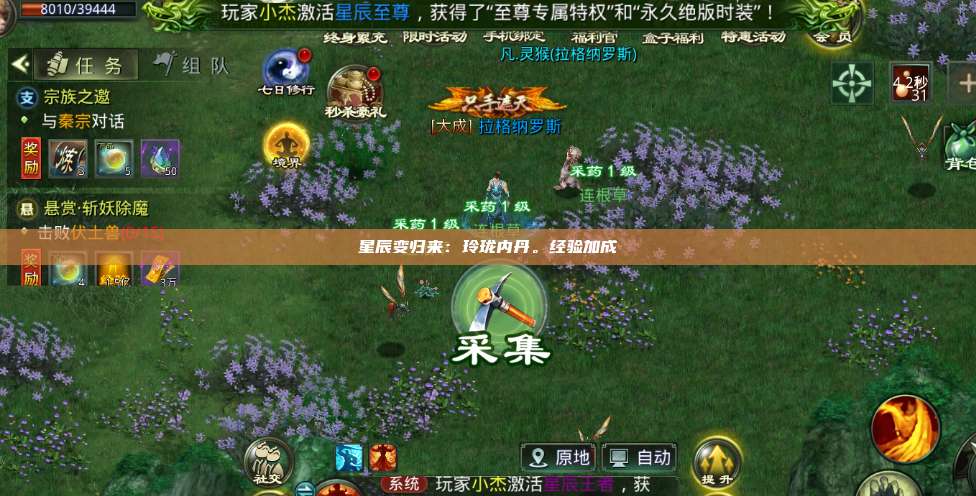 星辰变归来：玲珑内丹。经验加成 第1张
